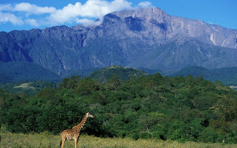 Mount Meru