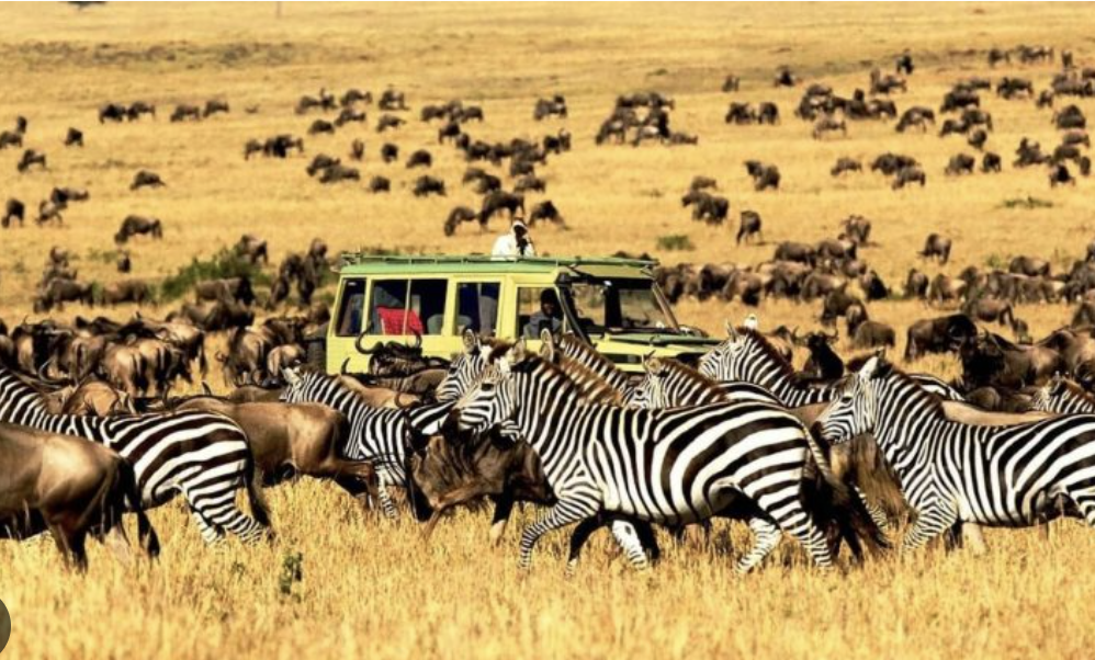 Northern Tanzania Safaris