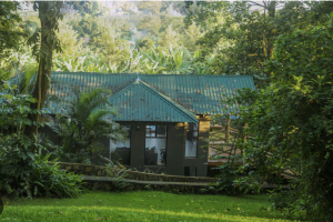Malkia Trees Lodge gallery image